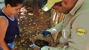 Intensifican lucha contra Aedes aegypti