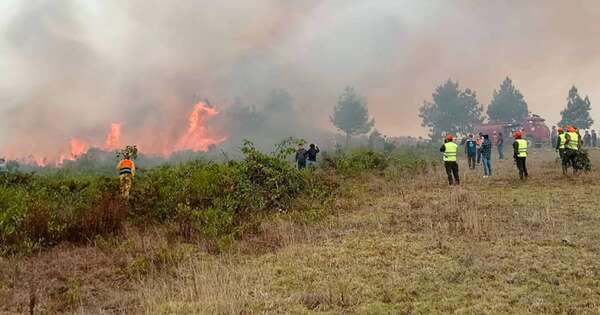 La Nación / La Amazonia bate récord de incendios