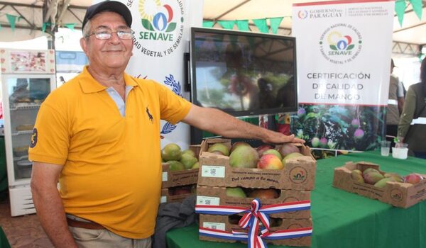 Apuntan a fortalecer la calidad y sanidad de mango nacional con miras a la exportación