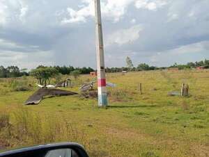 Caazapá: fuertes vientos derribaron árboles, tinglados y cables eléctricos - Nacionales - ABC Color