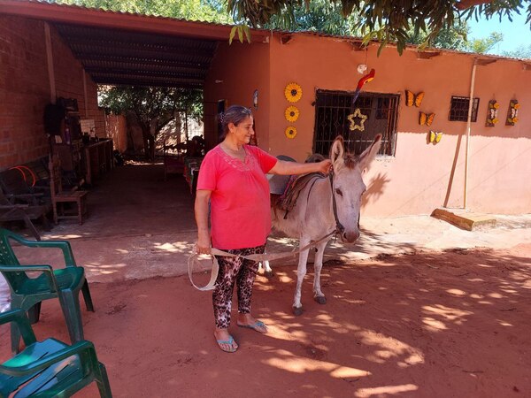 Doña Eloísa: La Burrerita que Mantiene Viva una Tradición Paraguaya » San Lorenzo PY