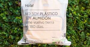Primera industria de resina de almidón de mandioca posicionará al Paraguay