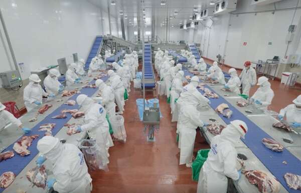 Senacsa confirma récord en exportación de carne: estos fueron los principales destinos - Economía - ABC Color