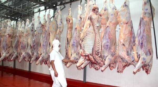 CADENA CÁRNICA: 2024 FUE ÓPTIMO EN FAENA, PERO DEBE PERMEAR EN EL SECTOR PRIMARIO - Itapúa Noticias