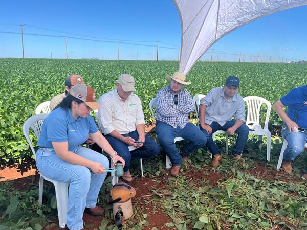 Rizobacter demostró elevado rendimiento del fertilizante Microstar en campos de Katueté