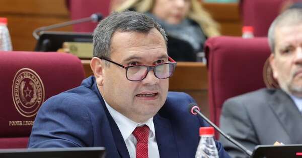 La Nación / Senador asegura que seguirá la inversión del Estado en seguridad y defensa