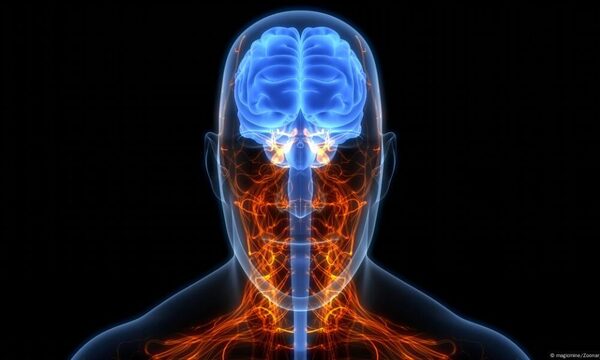 Estudio: nuestro cerebro es mucho más lento que el Internet