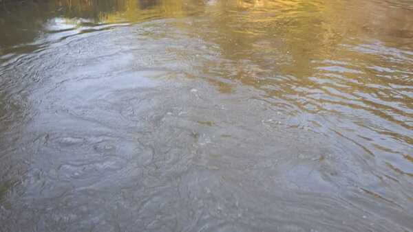 Pescador se ahoga en arroyo Yata´y de Santa Rita