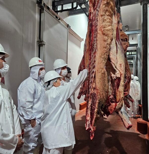 Carne paraguaya logra máximo histórico en exportaciones de volumen y valor en 2024