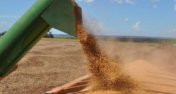 Soja y maíz subieron en el mercado volátil ante preocupación del clima en Sudamérica