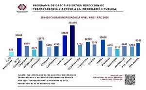 Violencia familiar, hurto y estafa fueron los hechos más denunciados en el 2024 • PARAGUAY TV