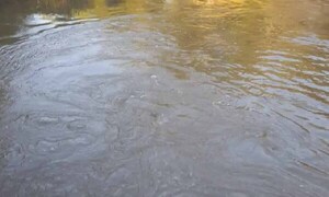 Pescador se ahoga en arroyo Yata´y de Santa Rita – Prensa 5