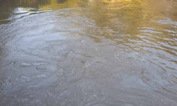 Pescador se ahoga en arroyo Yata´y de Santa Rita – Prensa 5