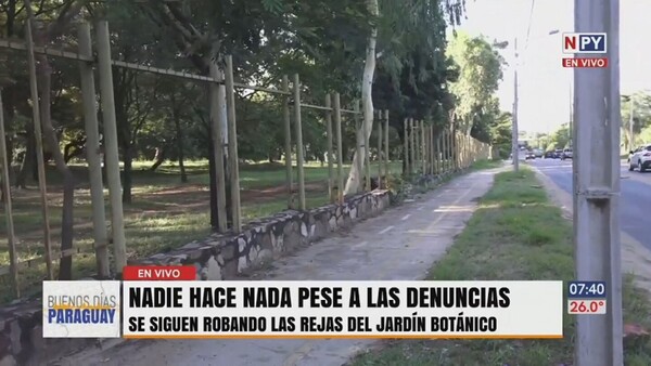 Rejas del Botánico están prácticamente desaparecidas