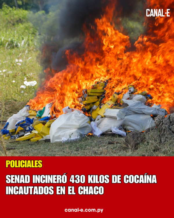 SENAD INCINERÓ 430 KILOS DE COCAÍNA INCAUTADOS EN EL CHACO