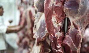 Paraguay alcanza récord histórico de exportación de carne en el 2024 – Prensa 5