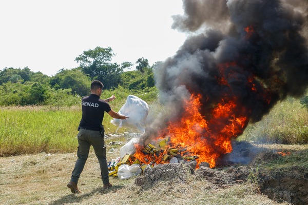 Senad incineró 430 kilos de cocaína incautada en la operación "Resiliencia" - 1000 Noticias