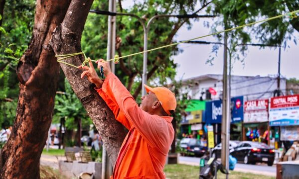 Luque: Municipalidad desalojará a vendedores del Paseo Central