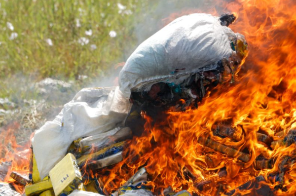 SENAD destruye 430 kilos de cocaína incautados en el Chaco