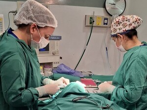 Registran más de 483.000 atenciones en consultorios nocturnos de 36 hospitales públicos - .::Agencia IP::.