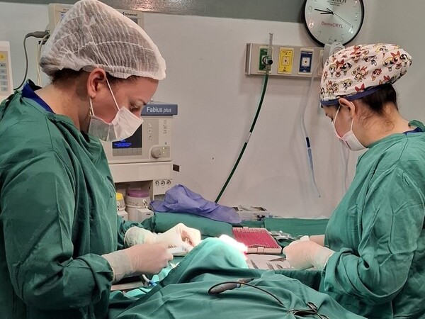 Registran más de 483.000 atenciones en consultorios nocturnos de 36 hospitales públicos - .::Agencia IP::.