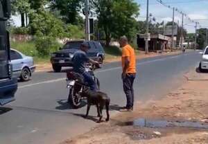 Video: denuncian a un hombre que llevaba a su perro atado a su moto - Nacionales - ABC Color