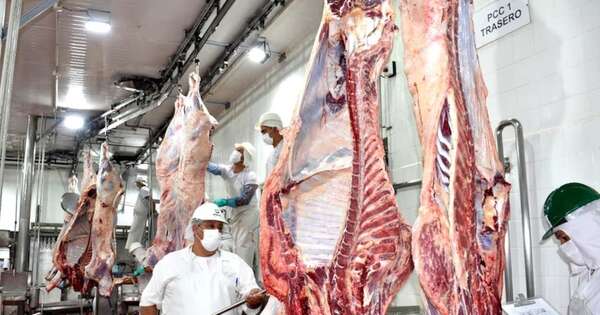 La Nación / Faena de bovinos cerró diciembre con récord histórico