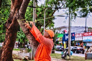 Luque ordena desalojo de vendedores del Paseo Central