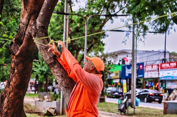 Luque ordena desalojo de vendedores del Paseo Central