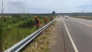 Tras el aumento del peaje en la ruta Luque–San Bernardino, el MOPC inicia la limpieza de los yuyales en la franja - Economía - ABC Color