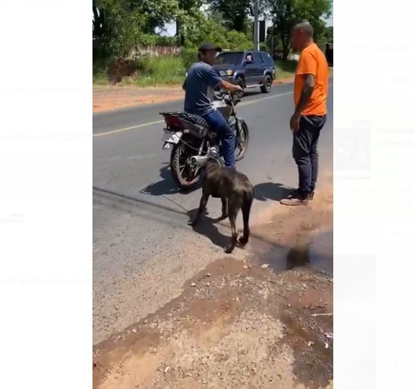 (VIDEO). Arriero infeliz es retenido en la calle por arrastrar a su perro atado a su moto