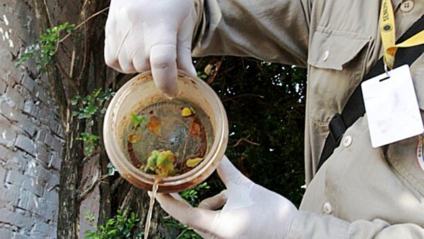 Alertan a viajeros: En la región registran 4 serotipos de dengue