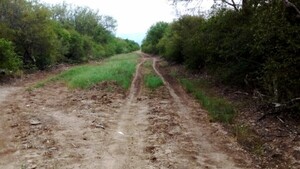Karandayty, páramo olvidado, clama por caminos y educación