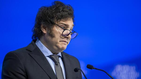 Milei disuelve la Administración de Puertos y despide al 79% de la plantilla