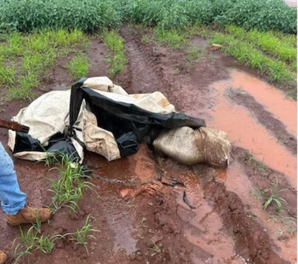 Investigan ejecuciones de dos hombres en la frontera entre Brasil y Paraguay - ADN Digital