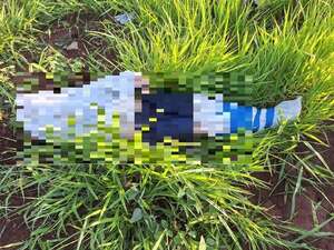 Encuentran otro cuerpo envuelto en plástico en un sojal de Ponta Porã - Policiales - ABC Color