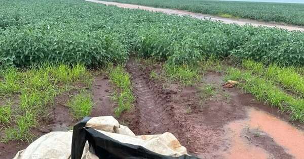 La Nación / Hallan un segundo cadáver envuelto en bolsas en Amambay