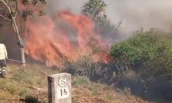Incendio de gran magnitud en Luque-San Bernardino moviliza a los bomberos