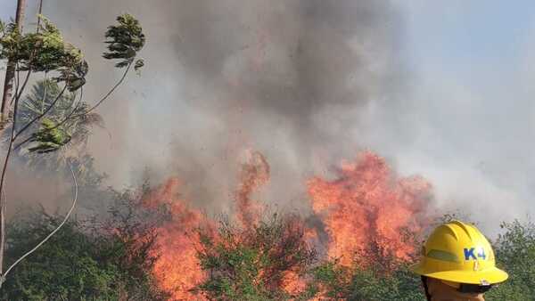 Incendio forestal afecta zona de ruta Luque-San Bernardino y piden evitar dicho tramo