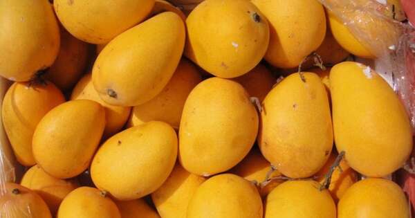 Diario HOY | Invitan al festival gastronómico del mango en Areguá
