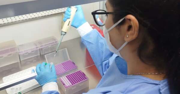 La Nación / IPS ofrecerá diagnóstico simultáneo de dengue, zika y chikungunya