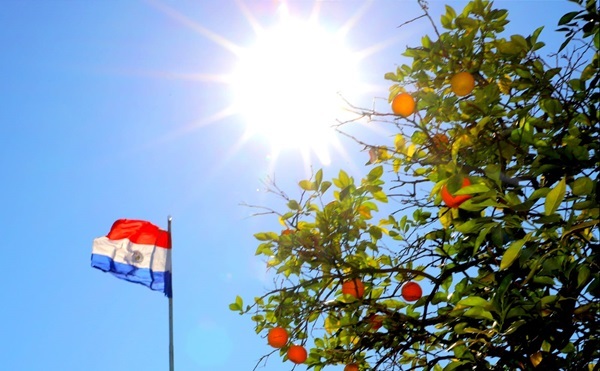 Domingo caluroso y sol pleno