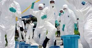Diario HOY | Japón sacrifica miles de pollos para combatir la gripe aviar