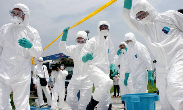 Japón sacrifica miles de pollos para combatir la gripe aviar