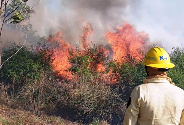 Fiscalía investiga incendios entre Luque y San Bernardino •