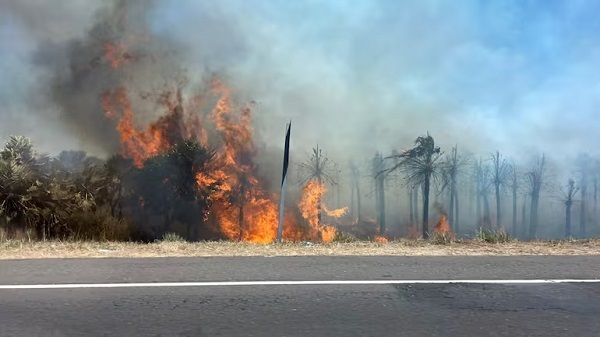 Nuevo incendio en ruta Luque-San Bernardino