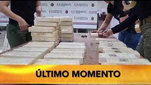 SENAD incauta 456 kilos de sustancias ilícitas en Misiones - SNT
