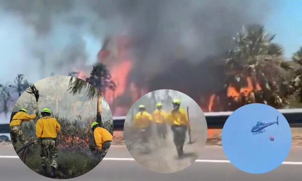¡Por aire y tierra trabajan para combatir el incendio en la ruta Luque-Samber!
