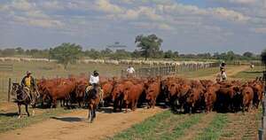 La Nación / Sector agroganadero repuntará como motor económico del 2025, sostienen especialistas