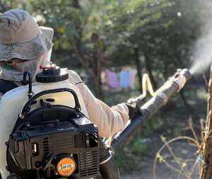 Dengue: la fumigación es una medida cada vez menos efectiva  - Nacionales - ABC Color